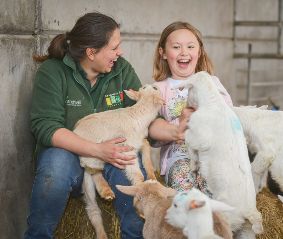 Image shows a farm caretaker and a kid playing with goat kids