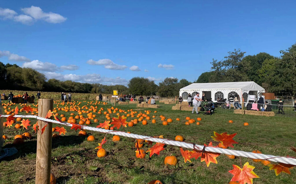 Group of people gathered for the pumpkin picking event at forge mill farm