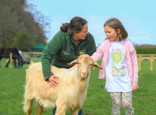 Farm staff and a child playing with animals at the farm