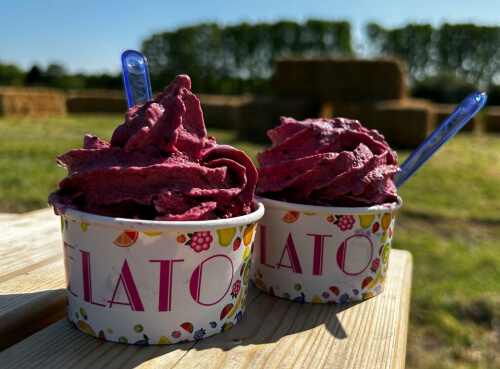 two ice creams in paper cups in a farm setting.