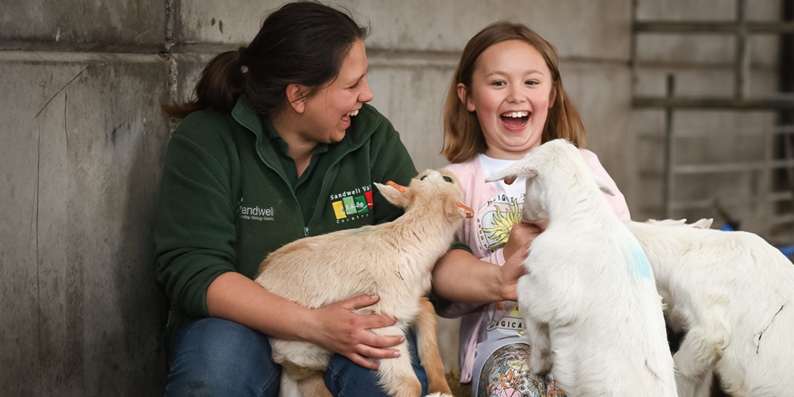 Farm staff and a child playing with animals at the farm